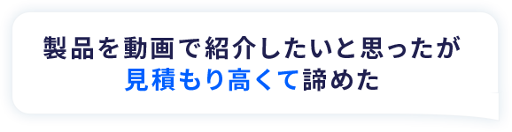 製品を動画で紹介したいと思ったが見積もり高くて諦めた